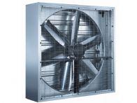 ����ؓ(f��)���L(f��ng)�C(j��)