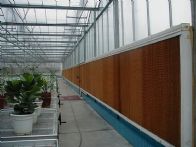 ���ܴ��ｵ��ˮ�����b