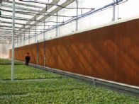 ���ｵ��ˮ��